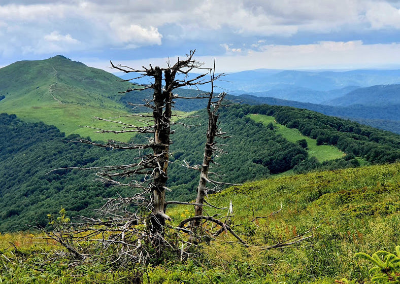  A może by tak rzucić to wszystko i pojechać w…?