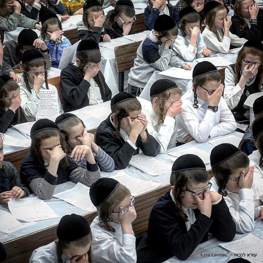 Belfer Cheder Szkoła