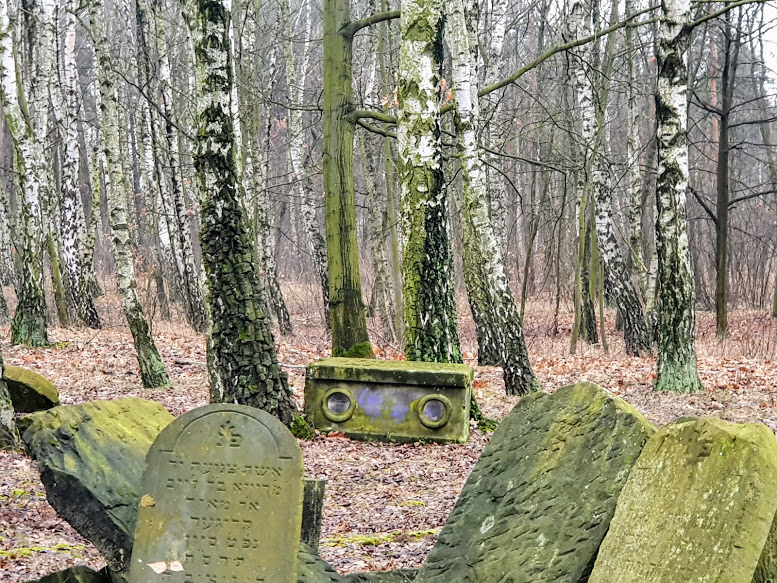 Warszawa Cmentarz Zydowski