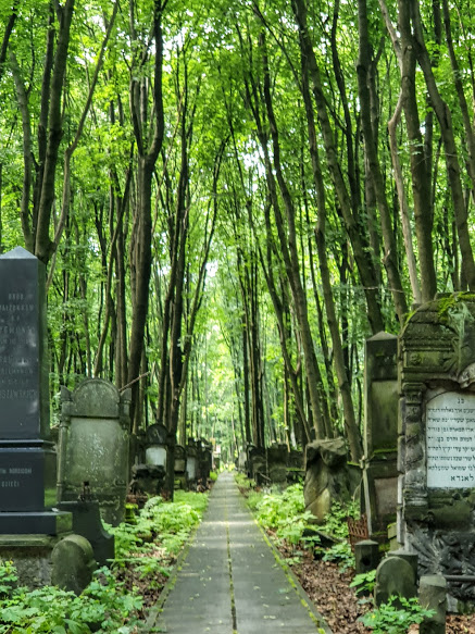 Cmentarz zydowski w Warszawie